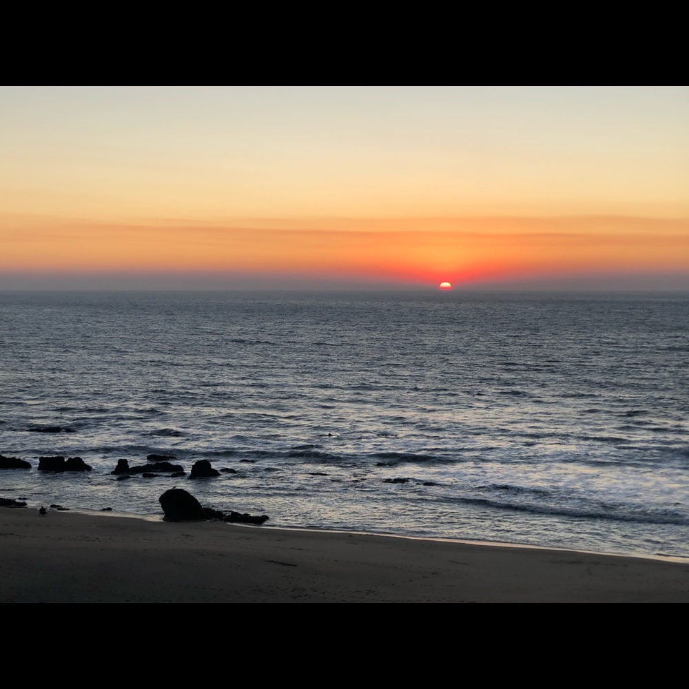 Meet your Posher, Liliana